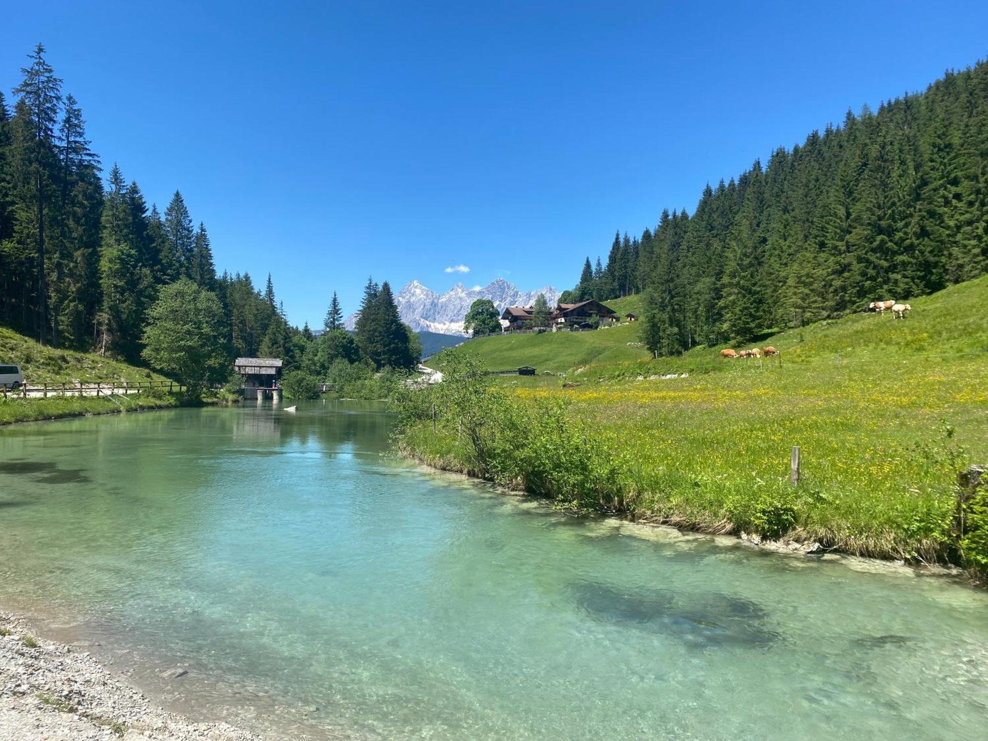 Appartements By Chalet Reiteralm -Sommercard Schladming Εξωτερικό φωτογραφία