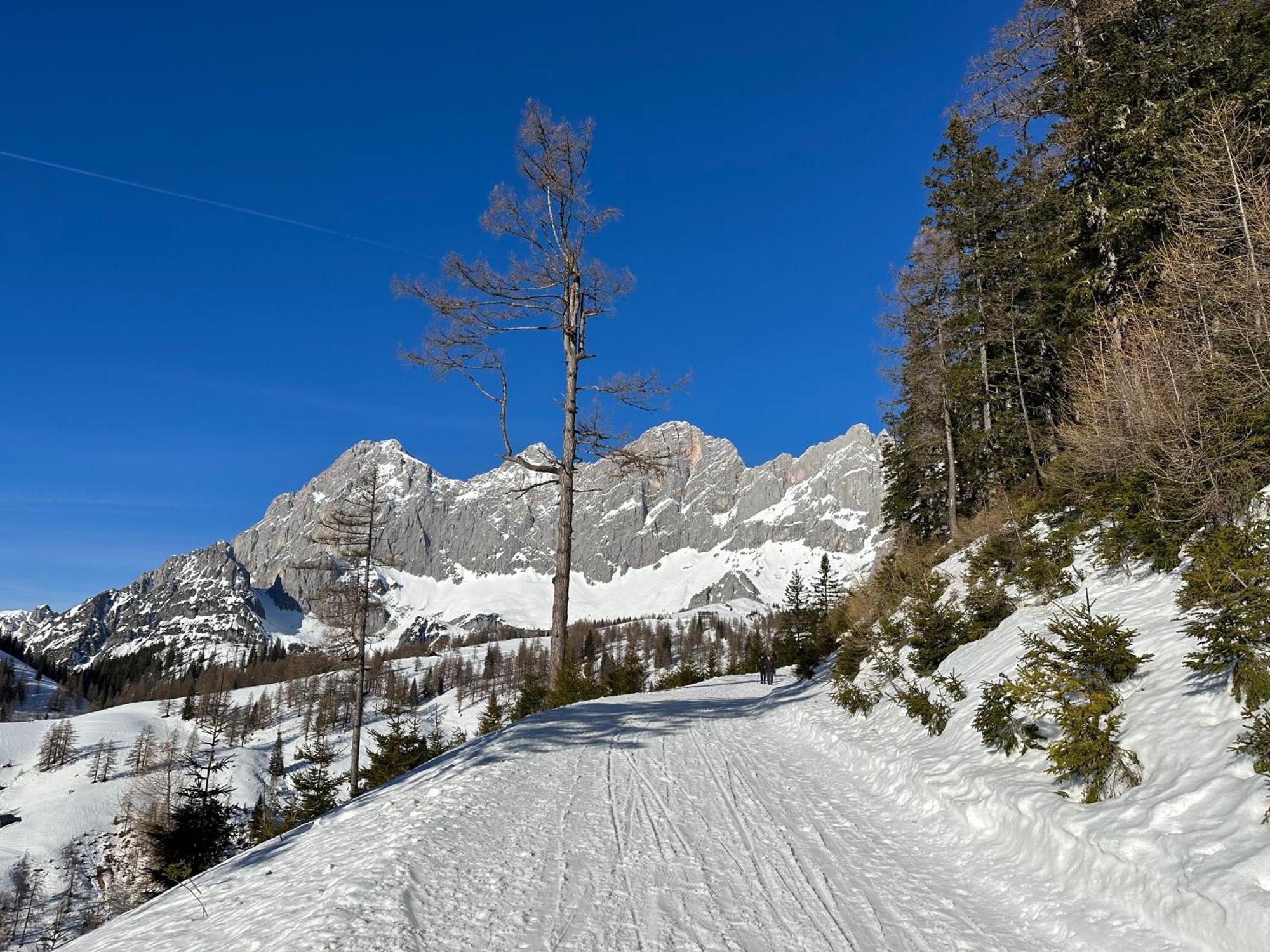 Appartements By Chalet Reiteralm -Sommercard Schladming Εξωτερικό φωτογραφία